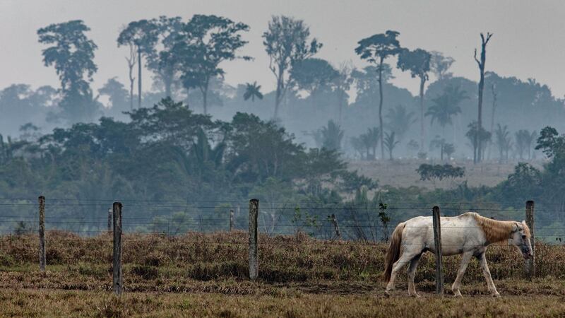 Smoke rises as fires burn in the Amazon rainforest near Porto Velho. Photograph: Victor Moriyama/The New York Times