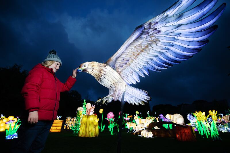 Wild Lights at Dublin Zoo. Photograph: Patrick Bolger