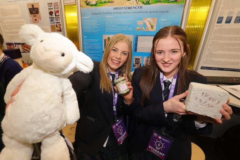 Runner-up group prize: Aoife Fadian and Jessica O’Connor from Ursuline College, Sligo, with their project Sheep Strength, using wool to reinforce concrete. Photograph: Alan Betson

