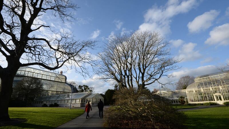 The National Botanic Gardens, in Glasnevin, Dublin. O’Connor designed the visitor centre and herbarium at the site as well as restoring its Great Palm House. File photograph: Dara Mac Dónaill