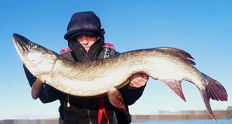 Marcin Gregorczyk from Connacht Predator Anglers with a magnificent specimen pike of 119cm, the longest fish of its kind caught last year.