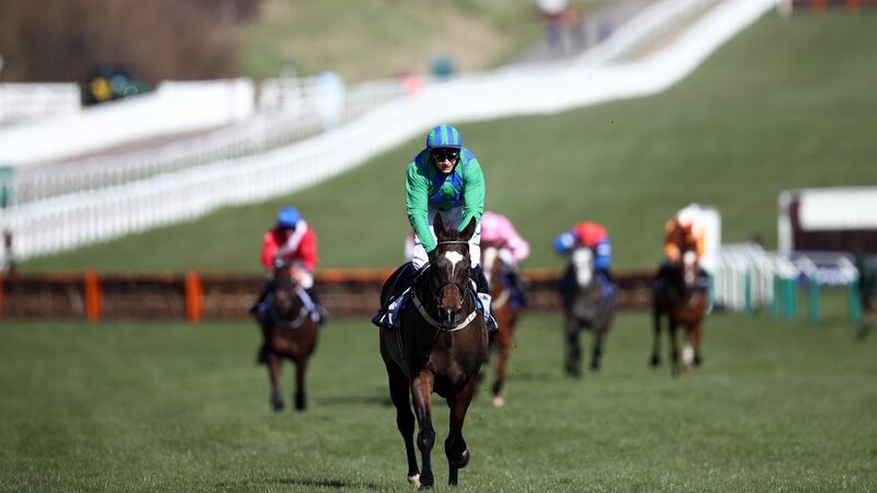 Appreciate It ridden by Paul Townend won the opening  Sky Bet Supreme Novices’ Hurdle by 24 lengths at Cheltenham. Photograph: Tim Goode/Getty Images