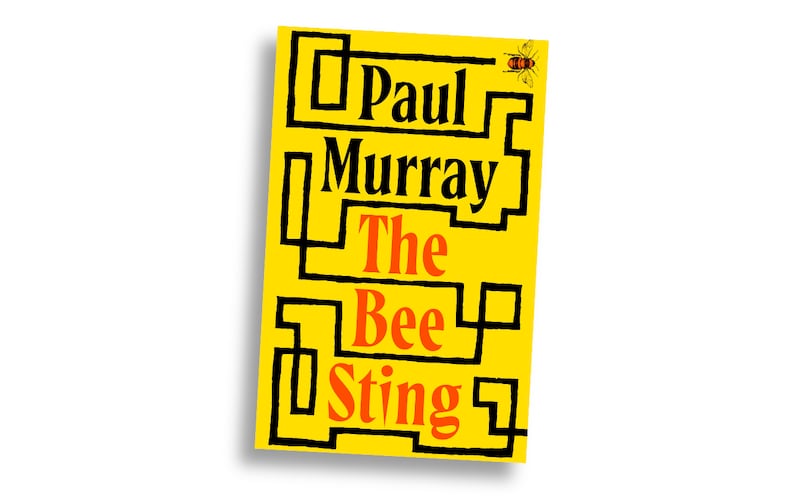 100 best Irish books of the 21st century - The Bee Sting by Paul Murray