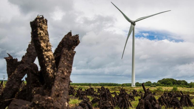 Ireland’s peatlands not only have the potential to store carbon but also to drive biodiversity restoration through re-wetting boglands. Photograph: Keith Arkins