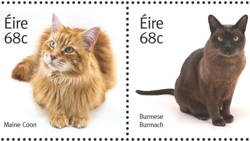 Fred am 8-year-old Maine Coon cat from Mullingar, Co Westmeath (left) and a Burmese cat on the new stamps.