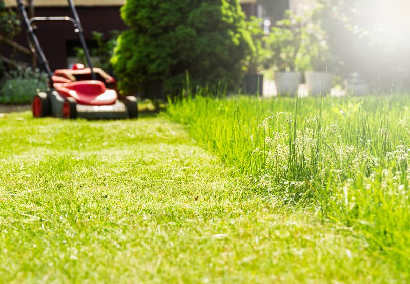 Mowing some sections of lawn once every four to six weeks, rather than once a week, and deliberately leaving other sections entirely unmown throughout the summer, can be a good solution. Photograph: Alamy/PA