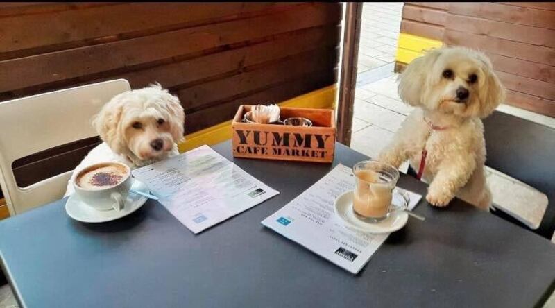 Yummy cafe market, Tralee