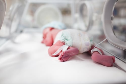 Neonatal project allowed ‘to slip into abeyance . . . not by an active decision but through neglect and apathy’