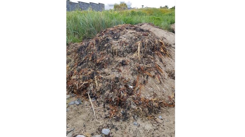 Some of the material deposited by diggers on a Fingal beach. Photograph: Sinead McCoy/An Taisce