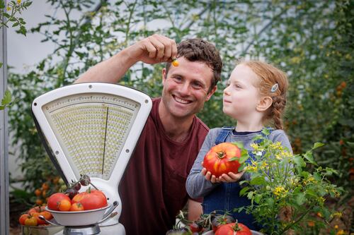 Food File: Tasty tomato festival, back to school with a MA in gastronomy and a mushroom hunt