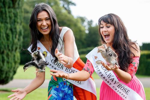 Rose of Tralee 2019: ‘My escort’s name is Kate – and she is HOT’