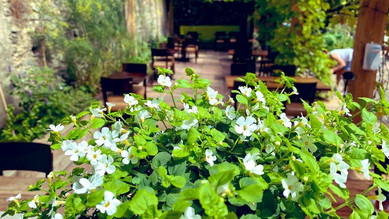 The covered, heated terrace at Sage in Midleton.