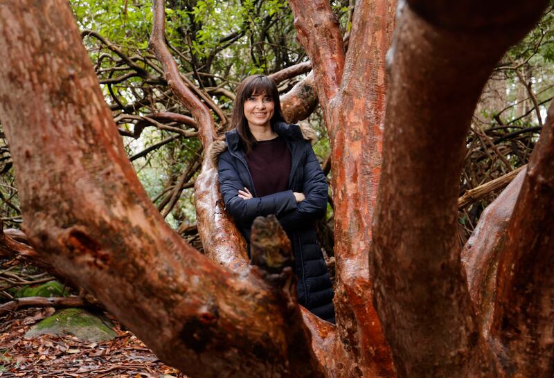 'I have always wanted to impact policy. It’s actually why I left teaching and went to do a PhD. I feel very privileged that I have had an opportunity to do that in the education sphere, and now in an environmental sphere, which I never thought I’d have before.' Photograph: Alan Betson

