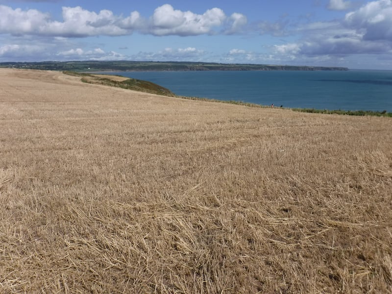 View from Ardmore Cliff walk