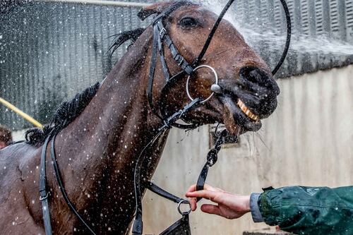 Cheltenham: ‘Real honour’ to sculpt life-size Tiger Roll statue, says artist