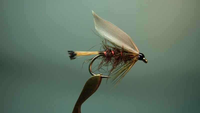 Blae-winged Sooty Olive. Tied by Jimmy Tyrrell