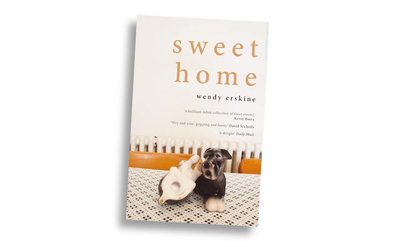 100 best Irish books of the 21st century - Sweet Home by Wendy Erskine