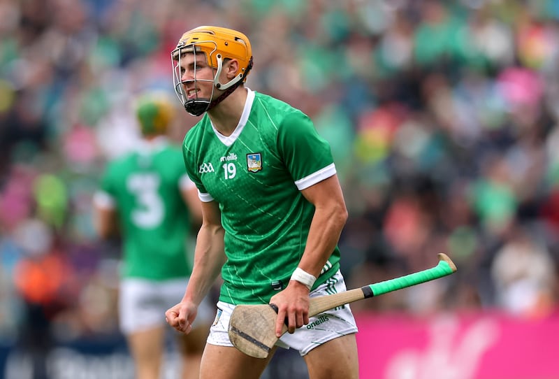 Adam English: looks well capable of filling a midfield spot for Limerick. Photograph: James Crombie/Inpho 