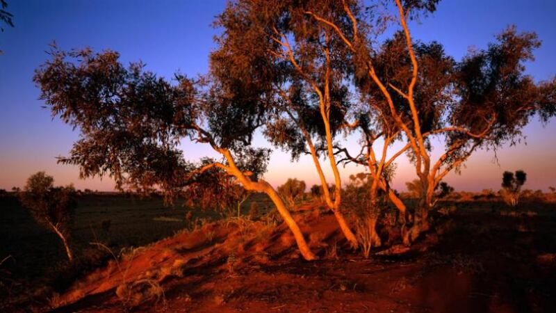 Conditions in Western Australia are tough: “It is hot up north in the mines, which are already hitting 40 degrees,” says Donna Quinn of the Claddagh Association. Photograph: Getty Images