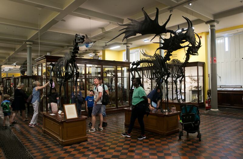 Visitors at the Natural History Museum following its reopening on Tuesday. Photograph: Gareth Chaney/Collins Photos