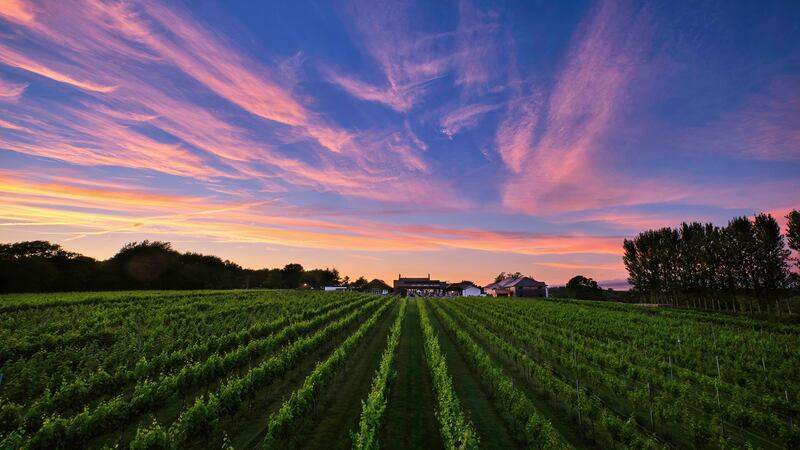 Llanerch, Hensol, is the largest commercial vineyard in Wales.