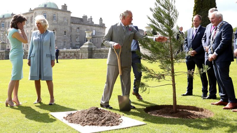 Prince Charles plants a tree ahead of a civic reception at the Powerscourt House and Gardens in Enniskerry, Co Wicklow. Photograph: Chris Jackson/Getty Images