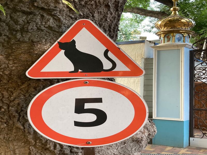 A cat sign in grounds of the Archangel Michael Convent. Photograph: Ed Vulliamy