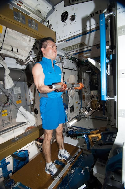 Koichi Wakata exercises on the Advanced Resistive Exercise Device (ARED) in Node 3. Photo was taken during Expedition 38. NASA Image