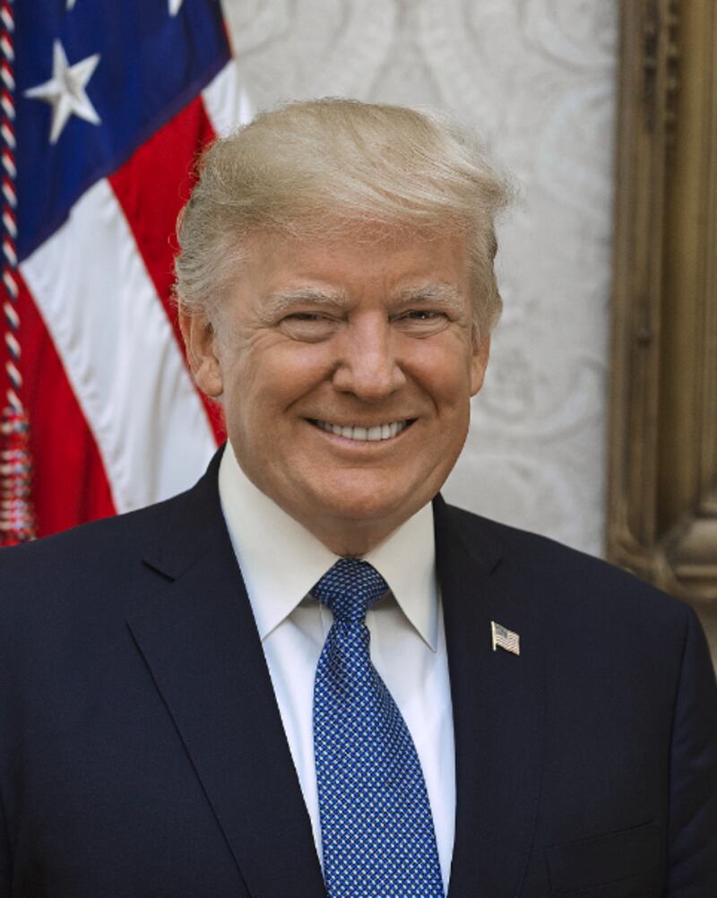 Donald Trump’s first official presidential portrait, taken in 2017. Photograph: Shealah Craighead