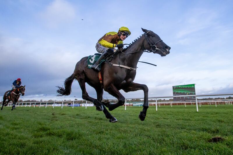 Galopin Des Champs is a hot favourite to defend his Gold Cup crown at Cheltenham. Photograph: Inpho