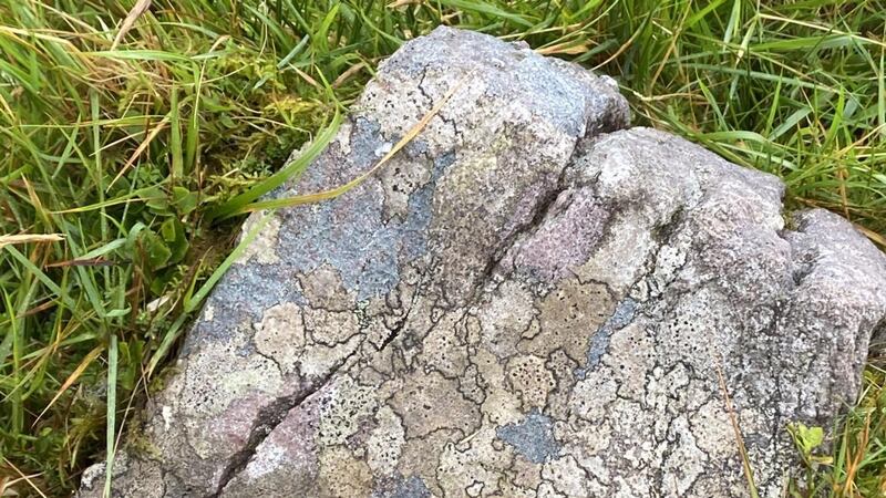 Rock with lichens spotted  by James Scallon at Sauce Creek in Kerry