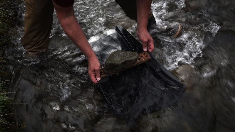 Alan Popovich pans for gold at Mennock Water, a stream near Wanlockhead, Scotland. ‘I never thought in a million years I would be in a river in Scotland panning for gold,’ said Popovich (52) who was furloughed from his job because of the pandemic. Photograph: Mary Turner/The New York Times