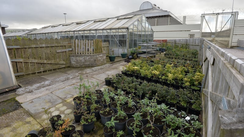 The garden workshop area with the  Roe buildings in the background which house republican prisoners. Photograph: Alan Betson