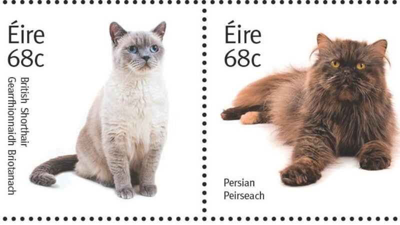 Queenie, a British Shorthaired cat aged 3 (left) and a Persian on the new An Post stamps.