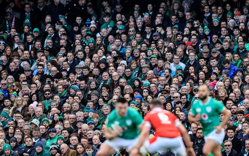 Fans look on during Ireland's Six Nations clash with Wales. Photograph: Dan Sheridan/Inpho