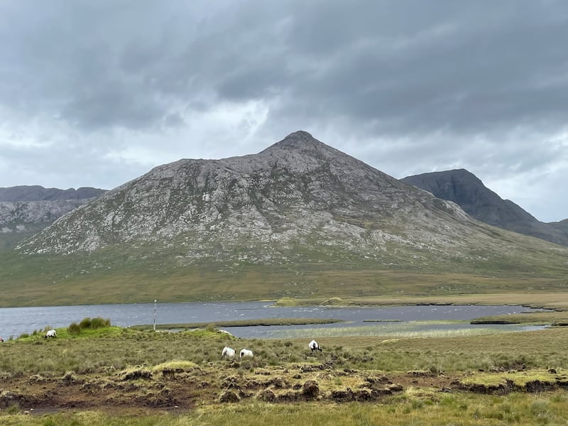 Dorothy Cross's studio is located in Connemara