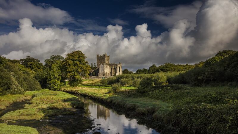 Tintern Abbey on the Hook Peninsula.