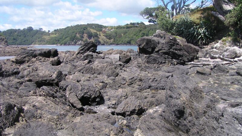 Boulder deposits on the coastline of the North Island, New Zealand, caused by a tsunami millions of years ago.