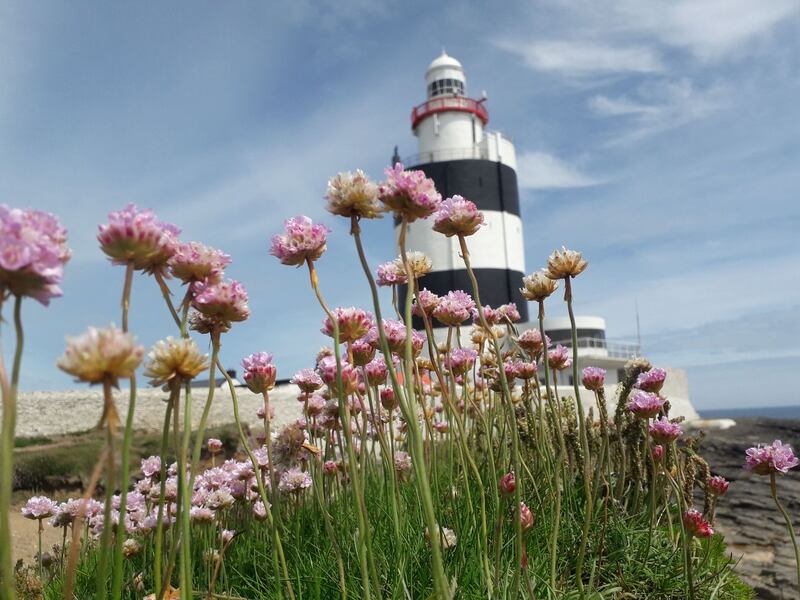 Summer pix 2019: Hook Head. Photograph: Vincent O’Meara