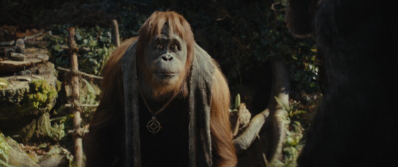 Raka played by Peter Macon in Kingdom of the Planet of the Apes. Photograph: 20th Century Studios.