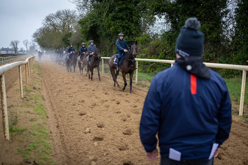 Gordon Elliott watches his string of horses on the gallops at the launch at his yard before last year's Fairyhouse Winter Festival, Photograph: Morgan Treacy/Inpho