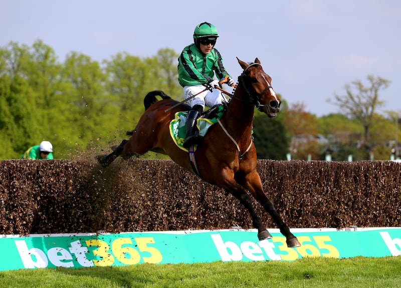 Hewick: on his favoured quick ground, he brings a level of form, particularly last summer’s runner-up in the French Champion Hurdle, that makes him a danger to all. Photograph: Nigel French/PA Wire