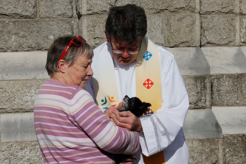 Fr Joseph Ryan performs a Blessing of the Animals on a Chihuahua belonging to Una Ryan from Whitehall. Photograph: Alan Betson