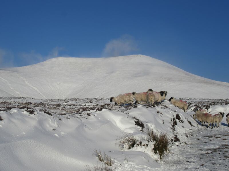 Snow-covered Galtee Mountains 