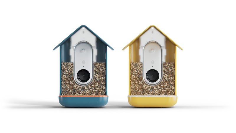 Buddy Smart Camera Bird Feeder with Solar Roof