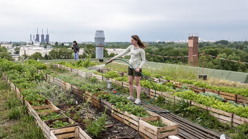 Let’s take a moment to celebrate the many ways in which it’s changed the face of modern gardening for the better