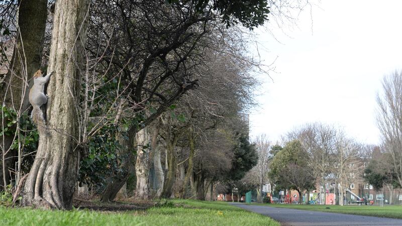 Irishtown Park in Dublin 4.  Photograph: Dara Mac Dónaill/The Irish Times