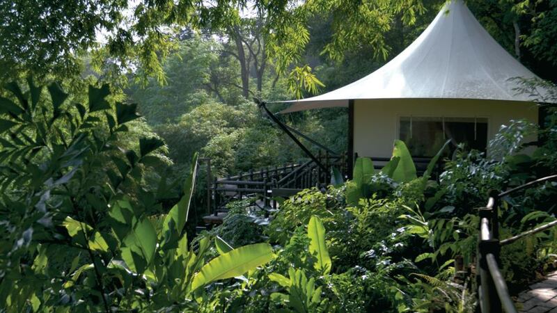 Four Seasons Tented Camp Golden Triangle, Chiang Rai, Thailand