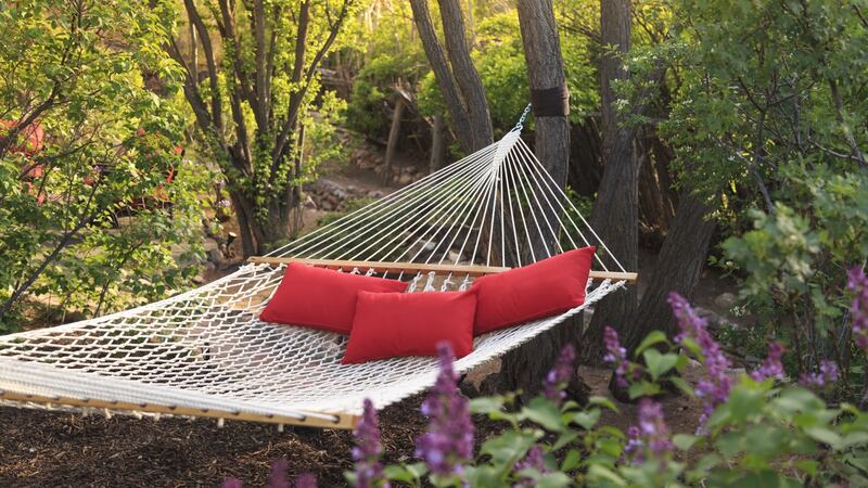 The best gardens have overgrown places in which to sling a hammock. Photograph: Getty