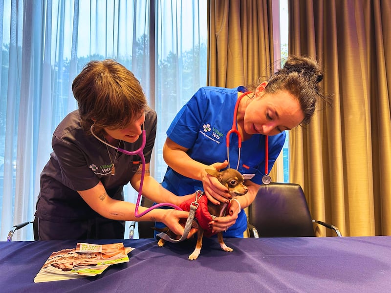 Village Vets free check up for four-legged VIPs